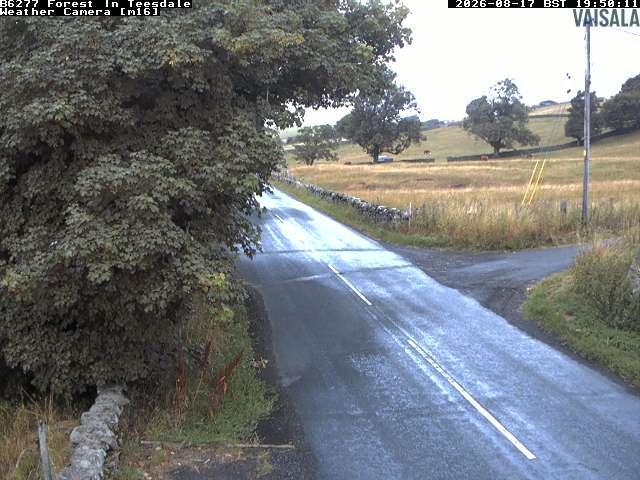 durham-b6277-forest-in-teesdale-1786996842.jpg