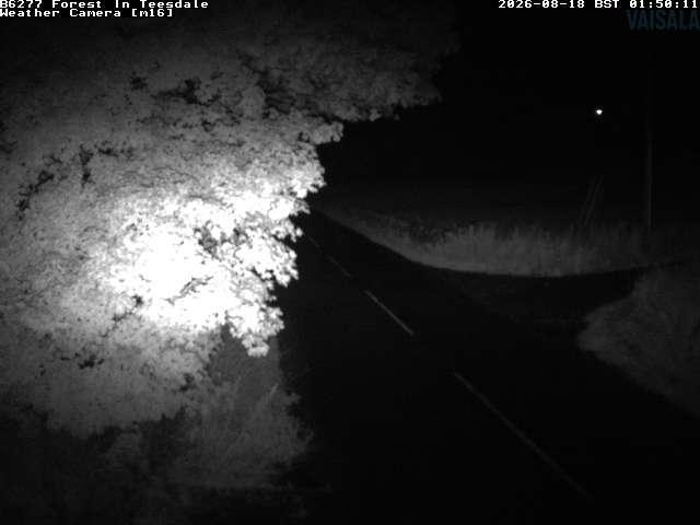 durham-b6277-forest-in-teesdale-1787018444.jpg