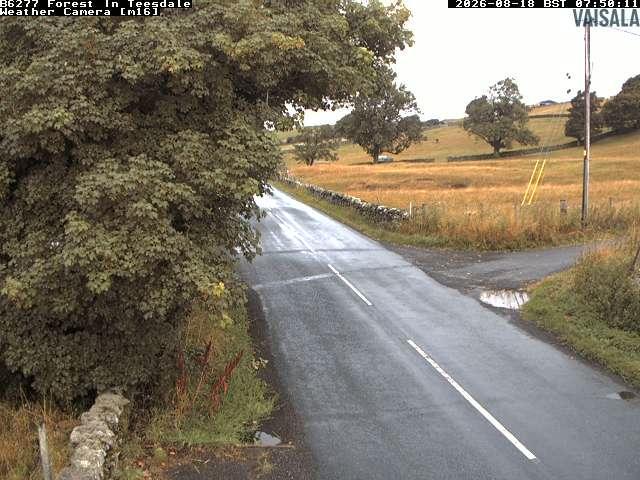 durham-b6277-forest-in-teesdale-1787040045.jpg