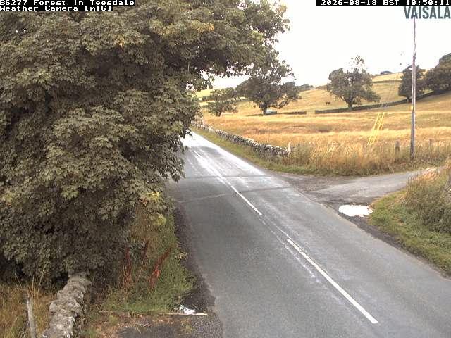durham-b6277-forest-in-teesdale-1787050842.jpg