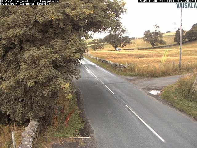 durham-b6277-forest-in-teesdale-1787067112.jpg