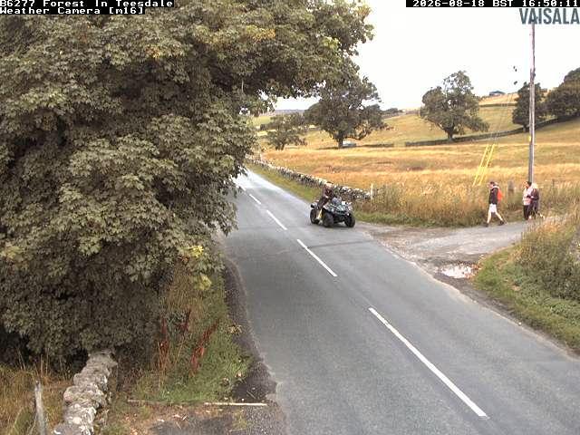 durham-b6277-forest-in-teesdale-1787072440.jpg