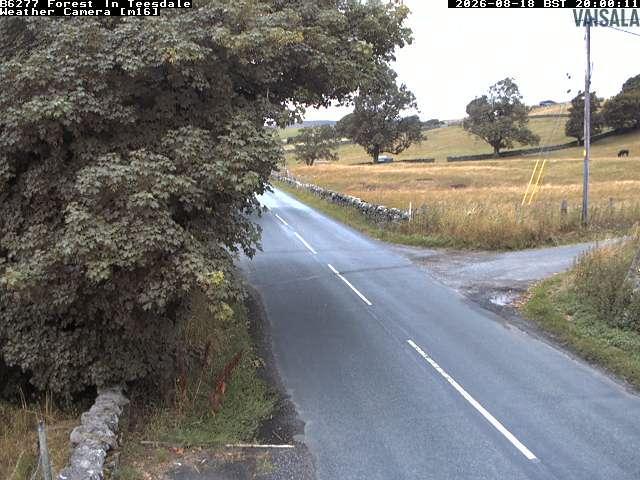 durham-b6277-forest-in-teesdale-1787083852.jpg