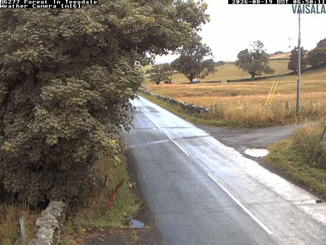durham-b6277-forest-in-teesdale-1787122833.jpg