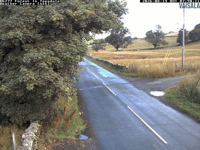 durham-b6277-forest-in-teesdale-1787126444.jpg