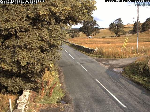 durham-b6277-forest-in-teesdale-1787130041.jpg