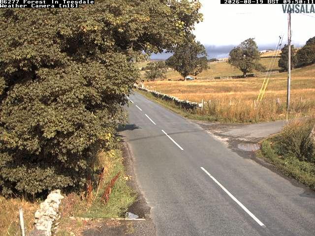 durham-b6277-forest-in-teesdale-1787133629.jpg