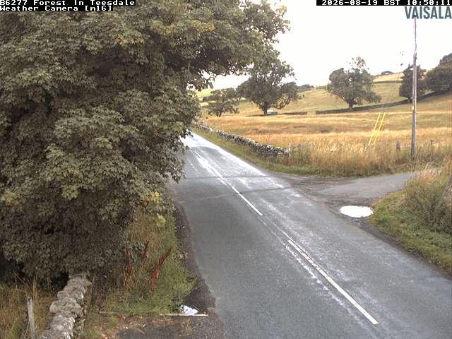 durham-b6277-forest-in-teesdale-1787137235.jpg