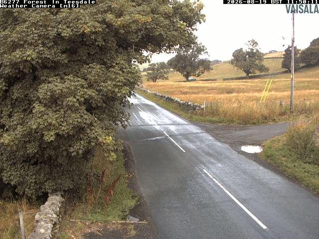 durham-b6277-forest-in-teesdale-1787140831.jpg