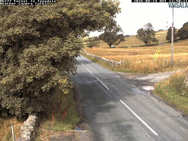 durham-b6277-forest-in-teesdale-1787144440.jpg