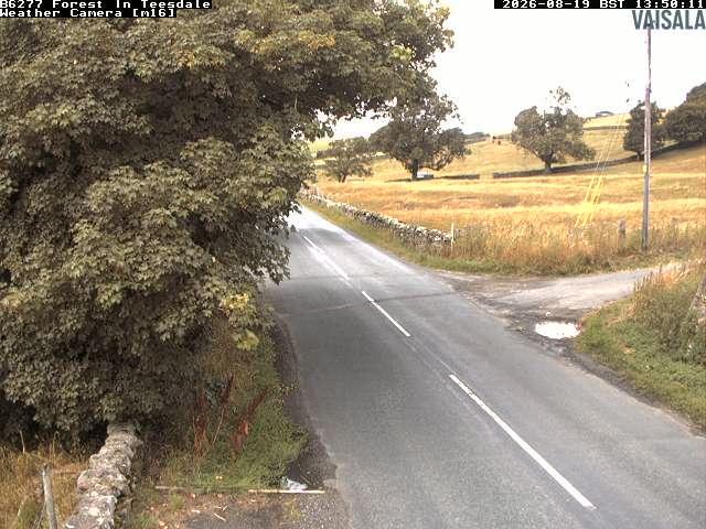 durham-b6277-forest-in-teesdale-1787148041.jpg