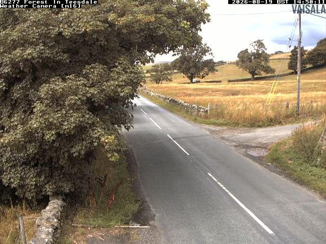 durham-b6277-forest-in-teesdale-1787151630.jpg