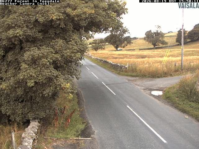 durham-b6277-forest-in-teesdale-1787155232.jpg
