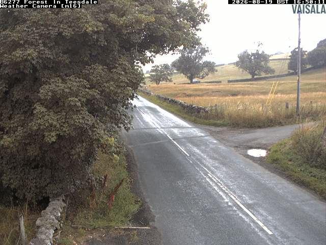durham-b6277-forest-in-teesdale-1787158841.jpg