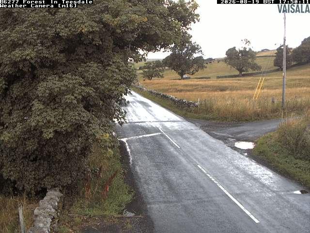 durham-b6277-forest-in-teesdale-1787162438.jpg