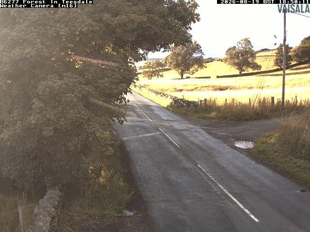 durham-b6277-forest-in-teesdale-1787166029.jpg