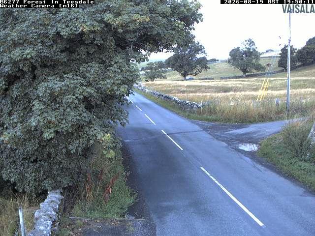durham-b6277-forest-in-teesdale-1787169640.jpg