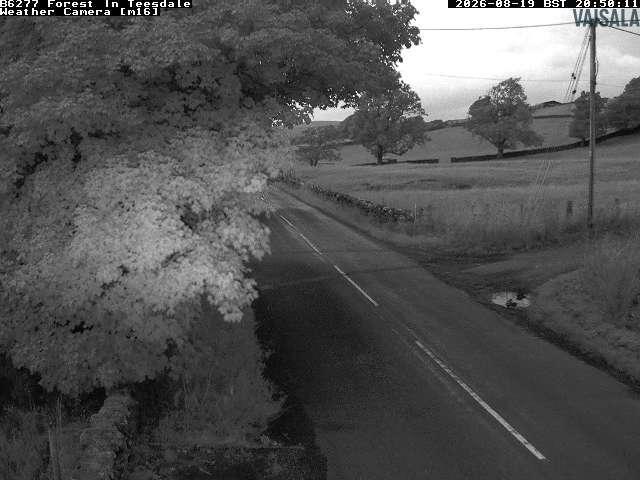 durham-b6277-forest-in-teesdale-1787173241.jpg