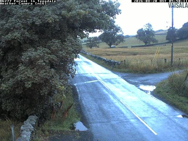 durham-b6277-forest-in-teesdale-1787205638.jpg