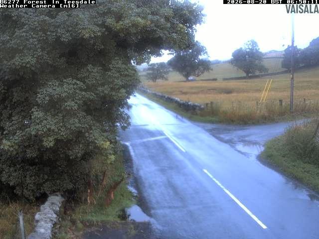 durham-b6277-forest-in-teesdale-1787209252.jpg