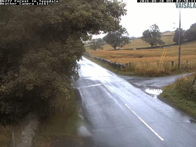 durham-b6277-forest-in-teesdale-1787212840.jpg