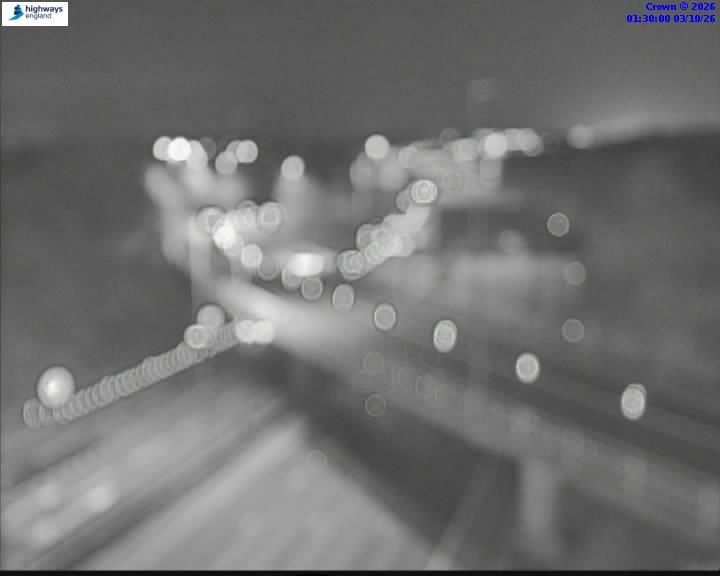 m42-06494-j8-1790991010.jpg
