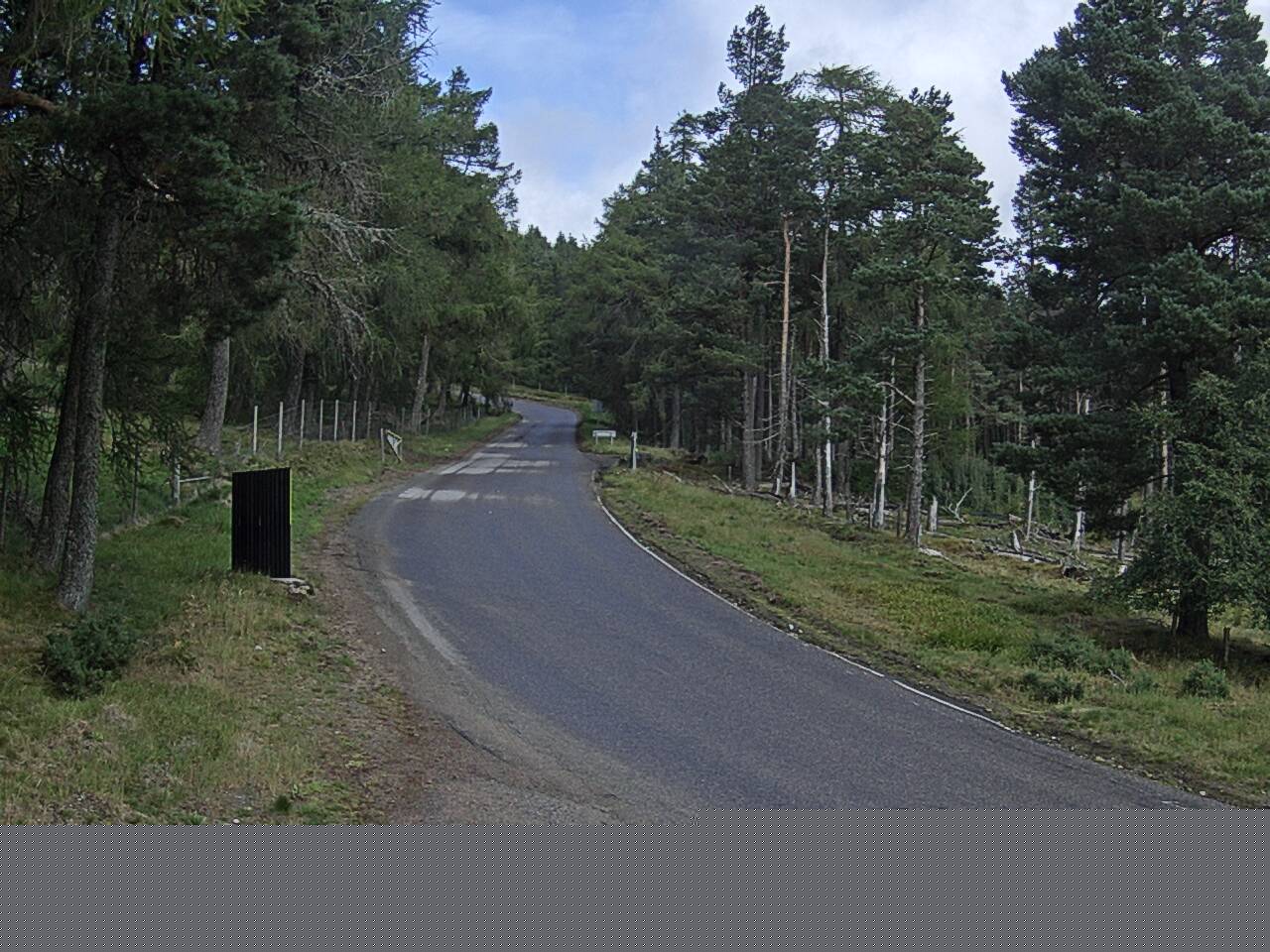 cock-bridge-1787230834.jpg