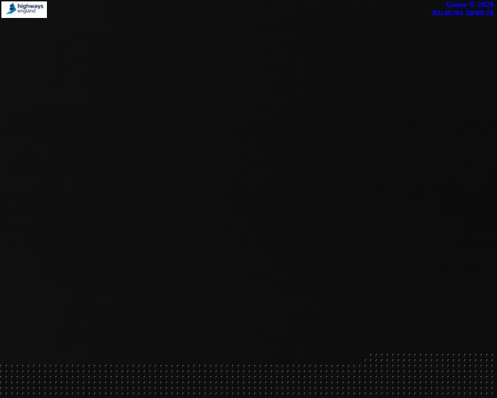 49078-1787107540.jpg