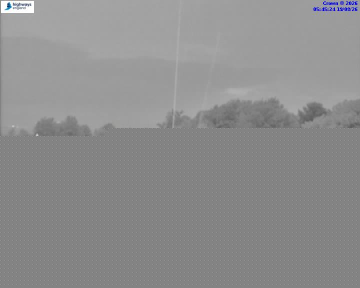 44062-1787118352.jpg