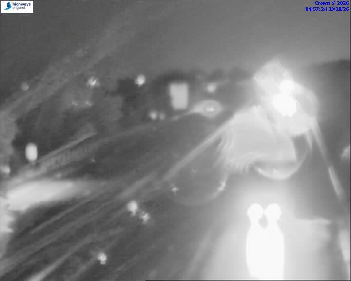 49058-1791608261.jpg