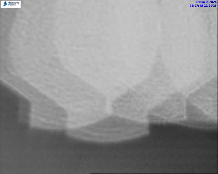 48960-1787029681.jpg