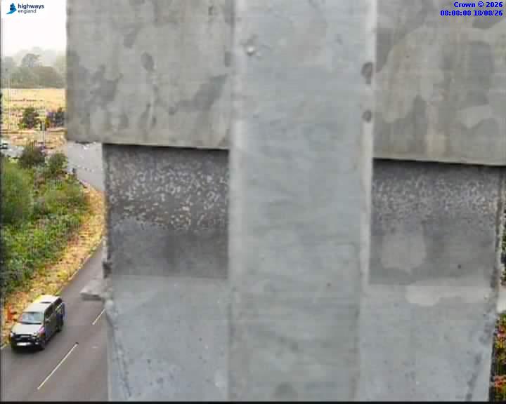 40203-1787040500.jpg