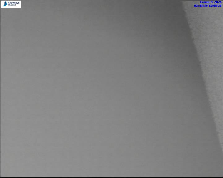 40204-1787107447.jpg