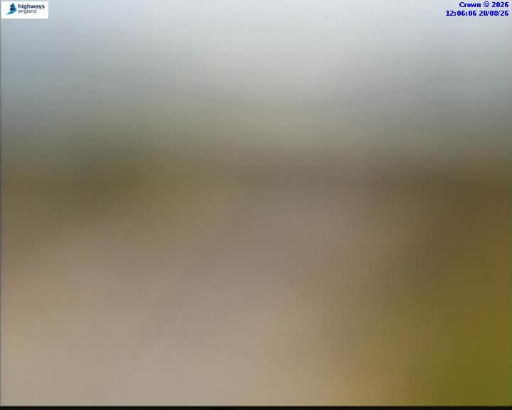 48452-1787227576.jpg