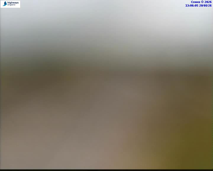 48452-1787231175.jpg