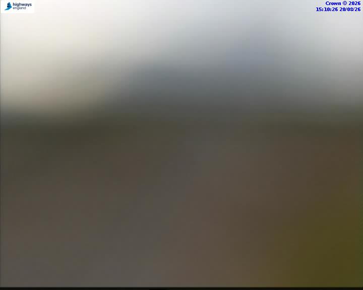48452-1787238631.jpg