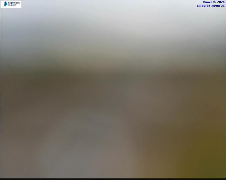 48452-1787242155.jpg