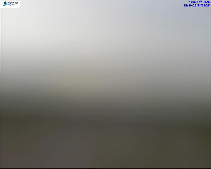46084-1787067636.jpg