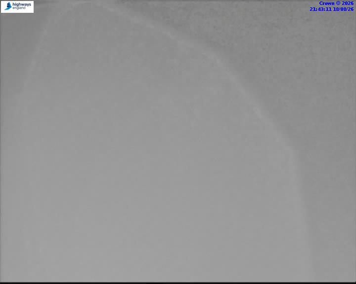 46084-1787089422.jpg