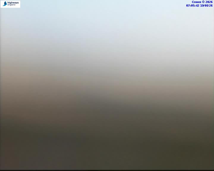 46084-1787123148.jpg