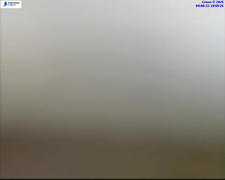 46084-1787130388.jpg