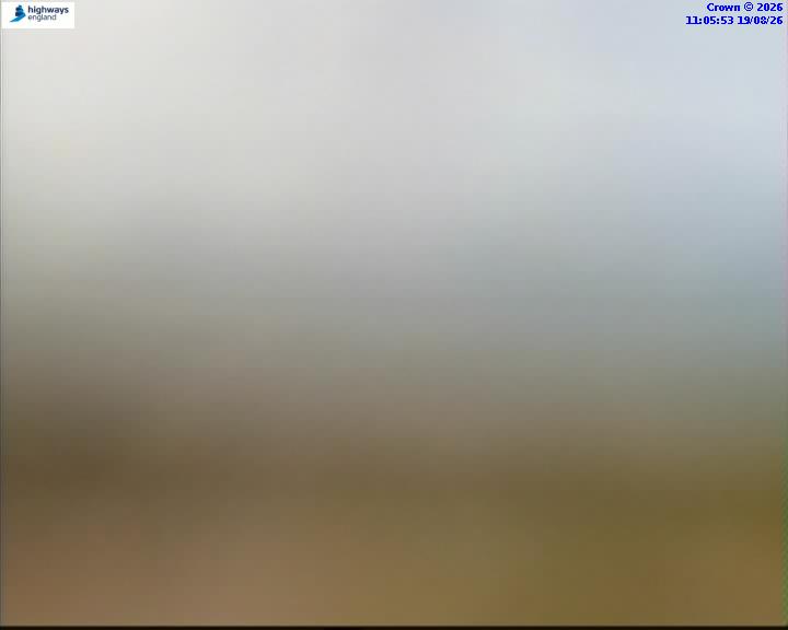 46084-1787137559.jpg