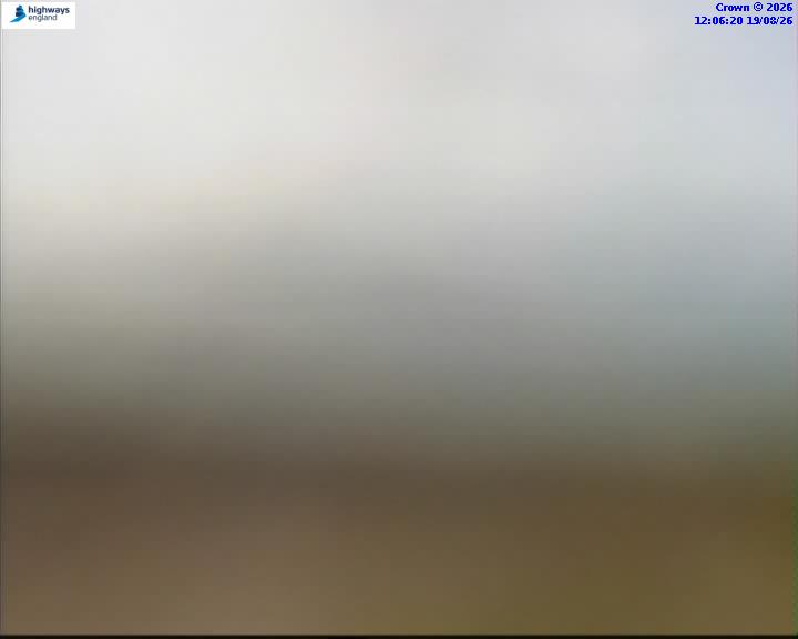 46084-1787141192.jpg