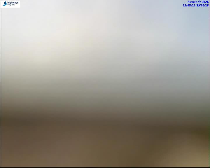 46084-1787144744.jpg