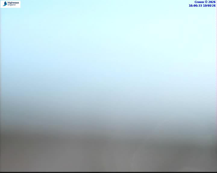 46084-1787155597.jpg