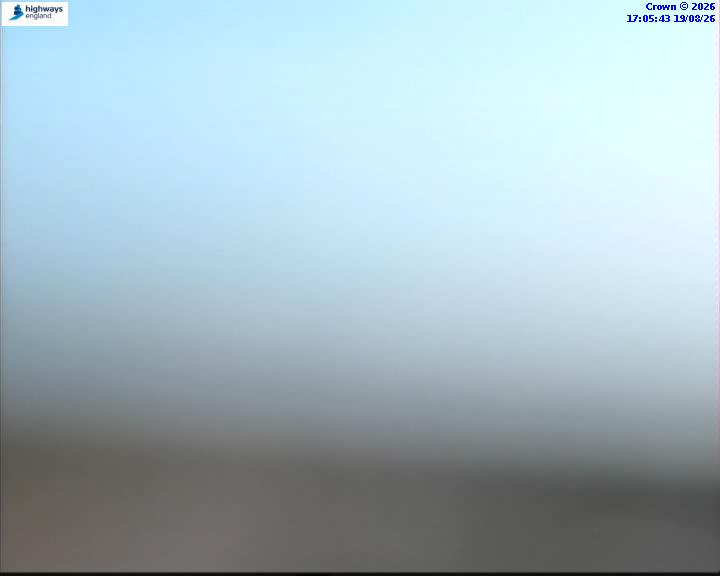 46084-1787159153.jpg
