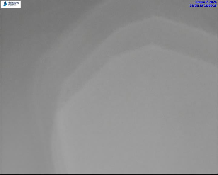 46084-1787173559.jpg