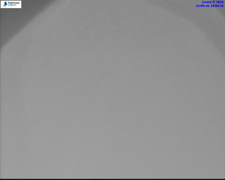 46084-1787177147.jpg