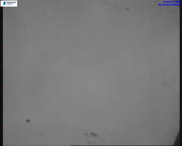 43967-1787118243.jpg