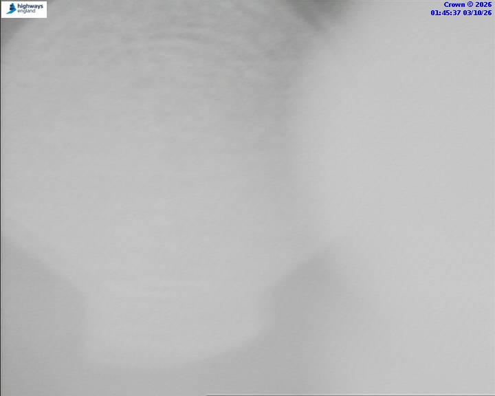 48320-1790991945.jpg